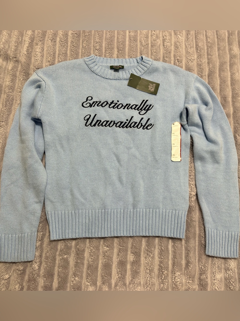 wild fable Light Blue Crewneck Sweater with 'Emotionally Unavailable' Script